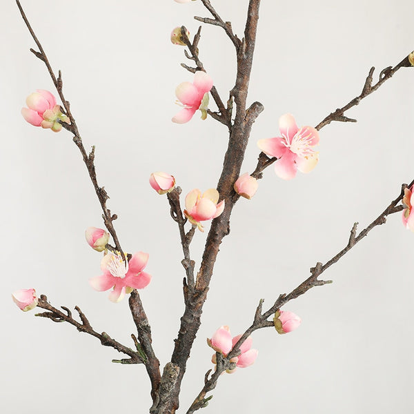 Winter Plum Branch with Flowers