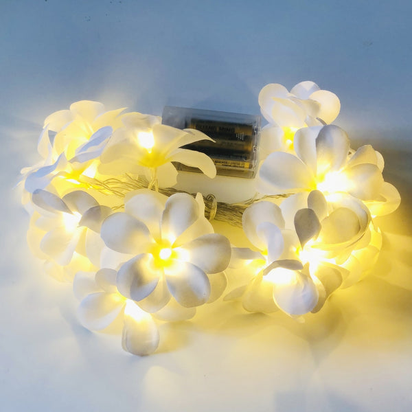 Decorative LED String Lights