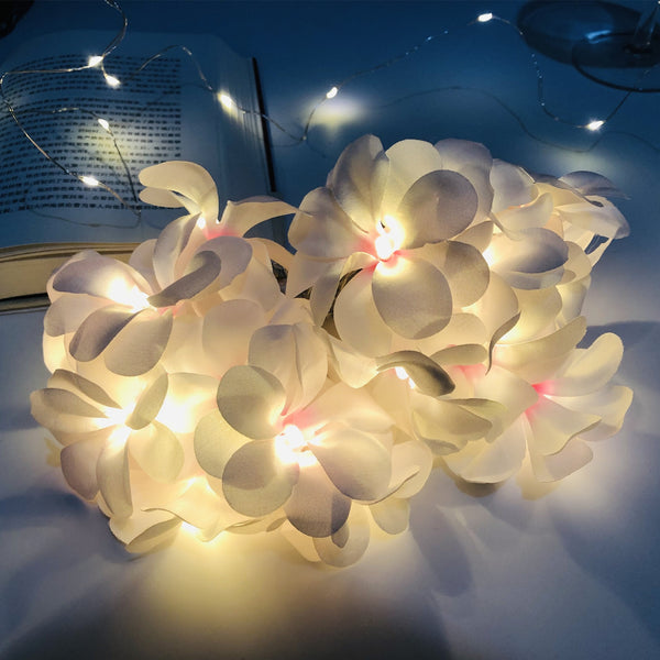 Decorative LED String Lights