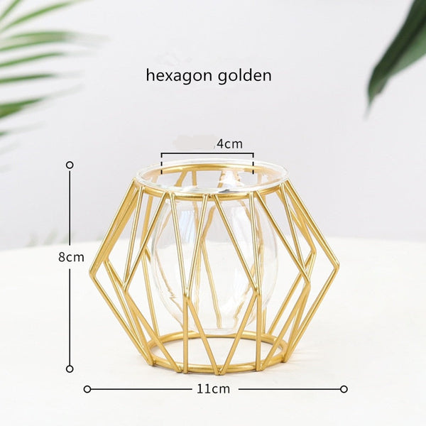 Iron Cage Design Plant Holders