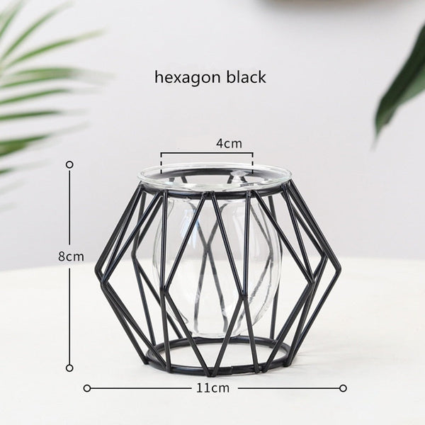 Iron Cage Design Plant Holders