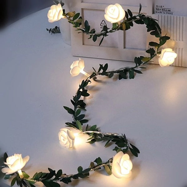 Decorative LED String Lights