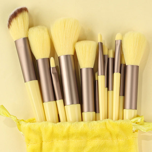 13 Pieces Makeup Brush Set