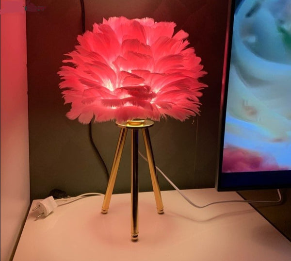 Elegant Feather Lamp