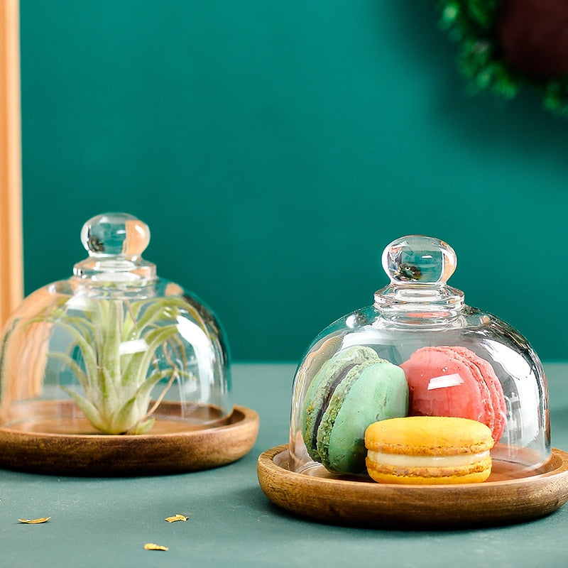 Mini Dessert/Cake Serving Tray with Glass Dome