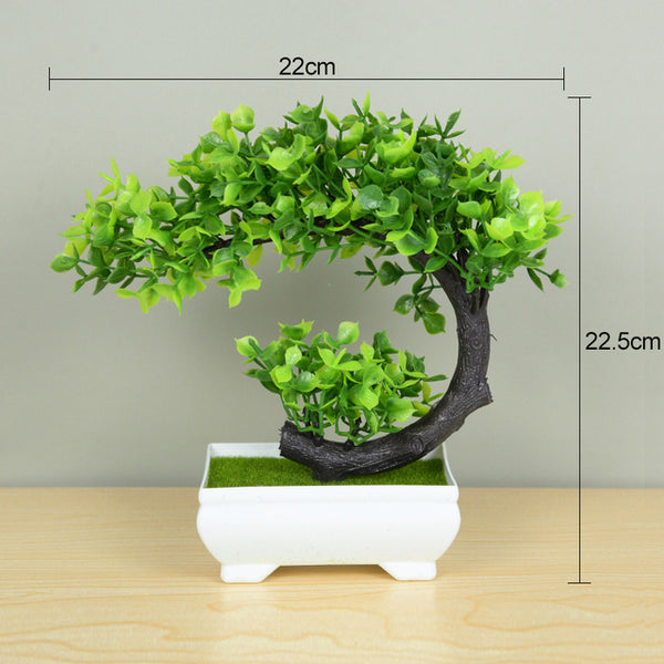 Bonsai