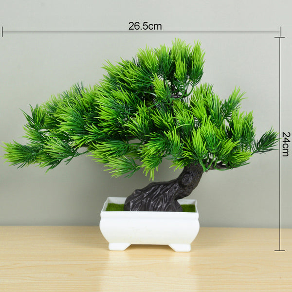 Bonsai