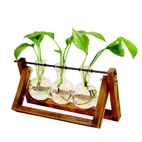 Terrarium Vase in Wooden Frame