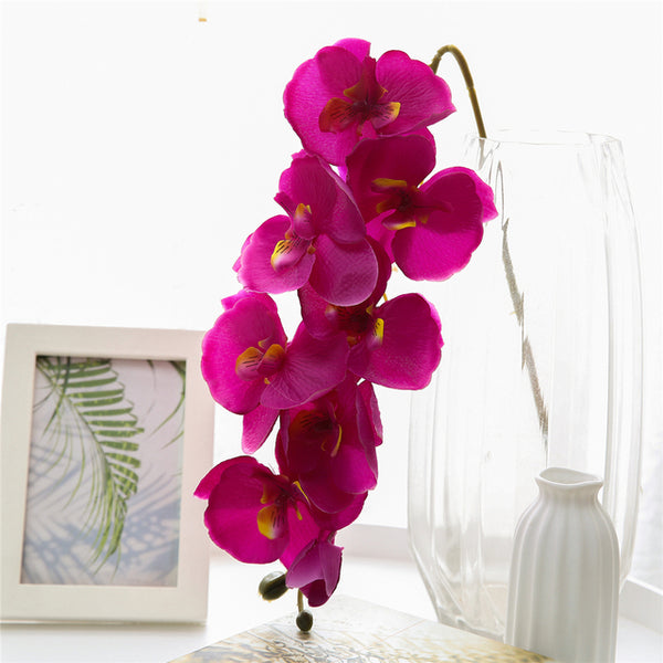 Silk Orchids