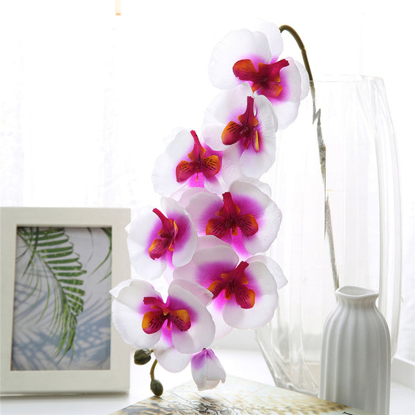 Silk Orchids