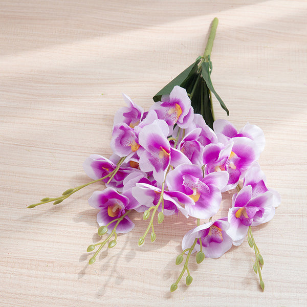 Silk Orchids