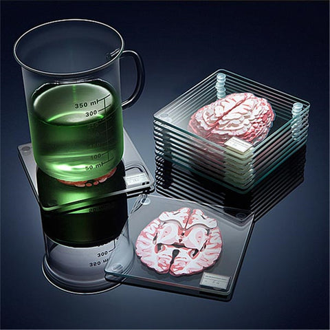 3D Brain Specimen Coaster Set